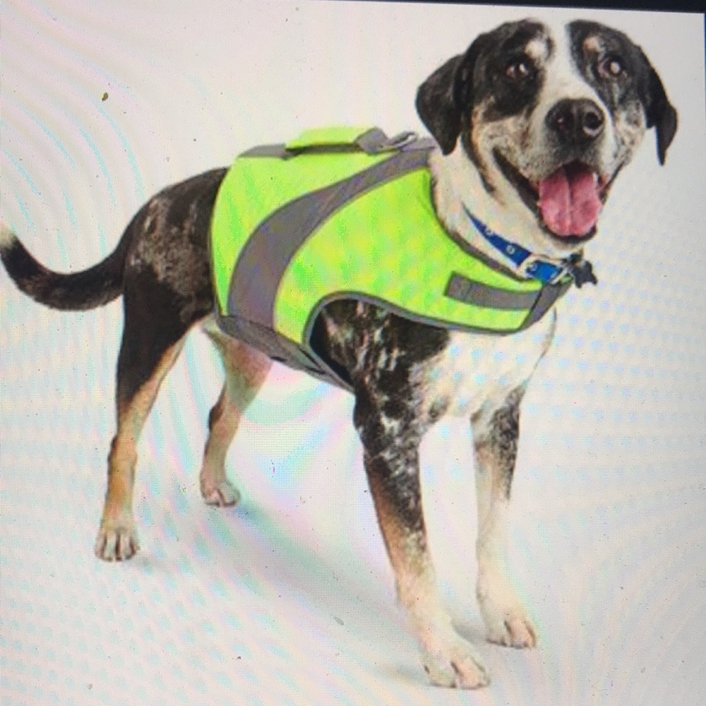 Good2Go Dog Life Jacket